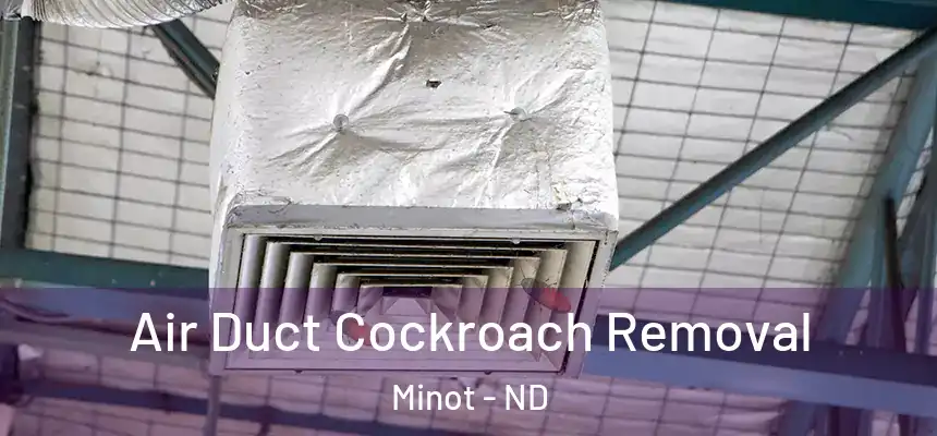 Air Duct Cockroach Removal Minot - ND