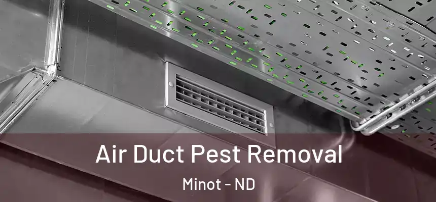  Air Duct Pest Removal Minot - ND