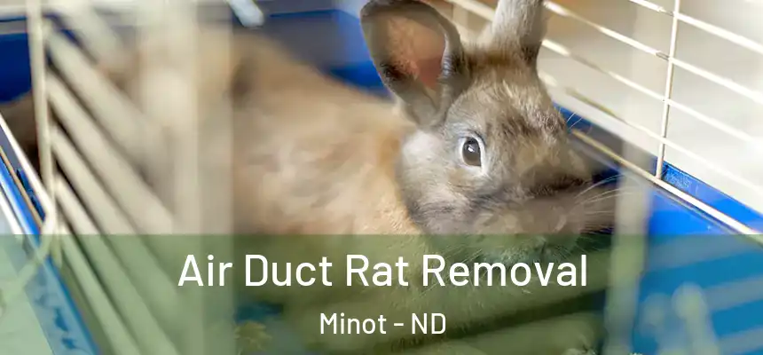 Air Duct Rat Removal Minot - ND
