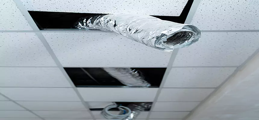 Affordable HVAC Sanitizing After Pest Removal in Minot