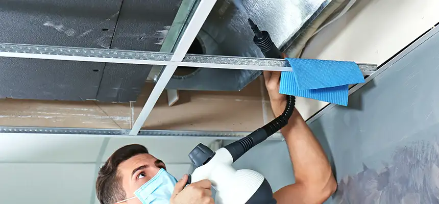 Our Air Duct Rodent Removal Services in Minot, ND