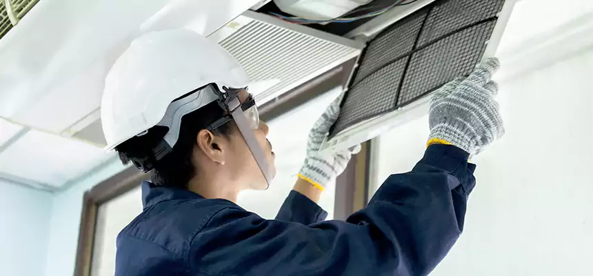 Our Mold & Mildew Removal from Air Ducts Services in Minot, ND