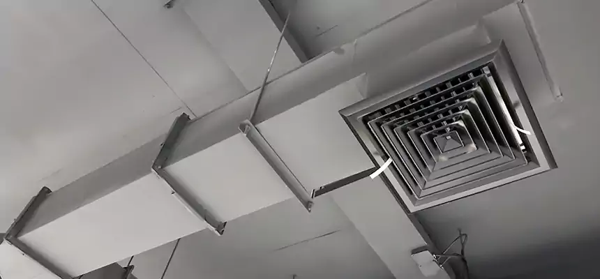 Our Rodent Droppings In Vents Services in Minot, ND