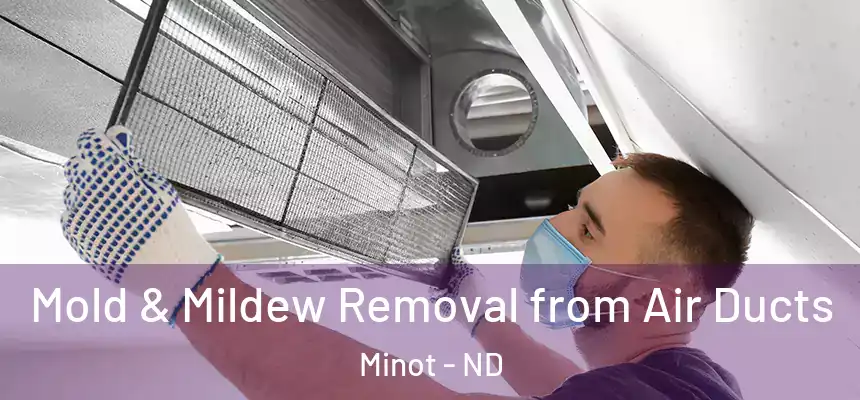 Mold & Mildew Removal from Air Ducts Minot - ND