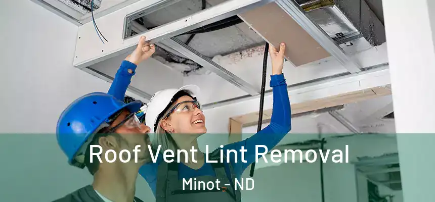  Roof Vent Lint Removal Minot - ND