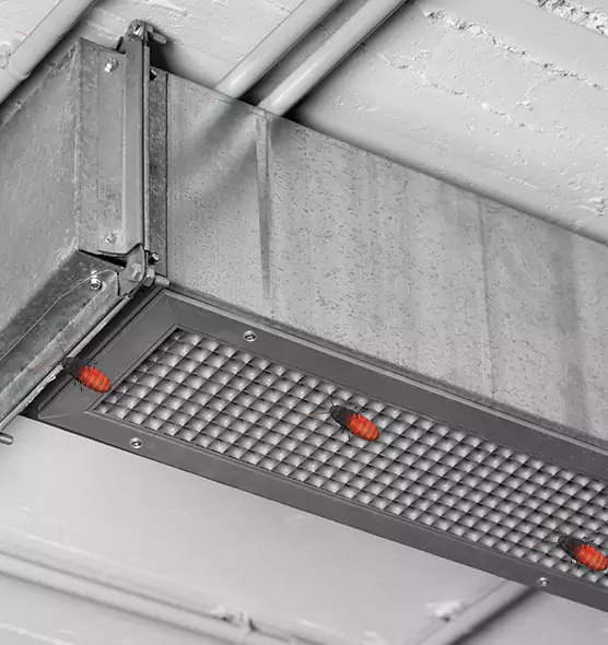 Affordable Insect Removal from Air Ducts in Minot, ND