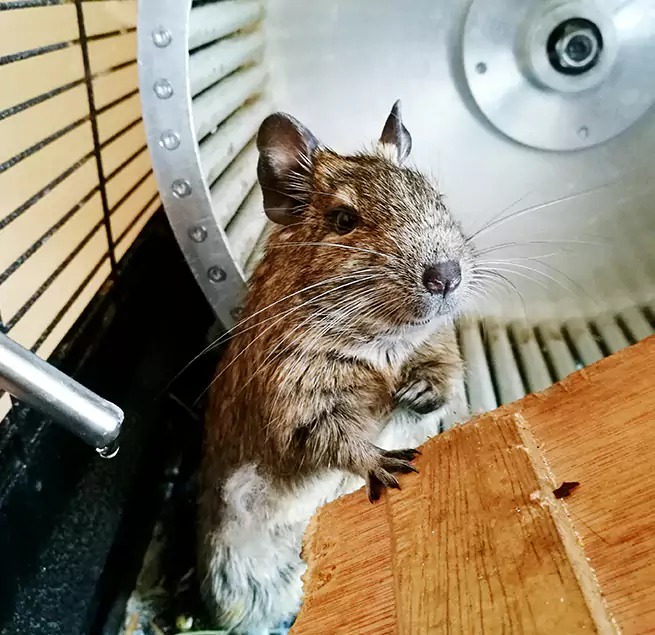 Why Homeowners & Businesses Trust Us Minot, ND