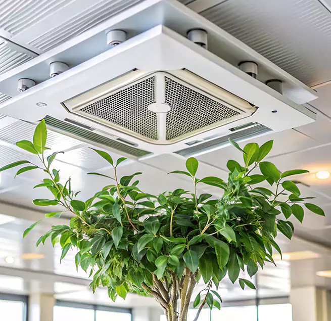 Why Homeowners & Businesses Trust Us in Minot, ND?